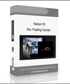 Falcon FX Pro Trading Course