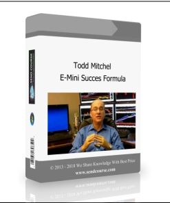 E-Mini Succes Formula 2.0 by Todd Mitchel