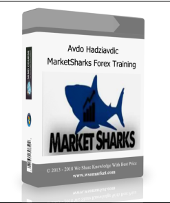 Avdo Hadziavdic – MarketSharks Forex Training