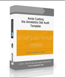 Annie Cushing – the Annielytics Site Audit Template