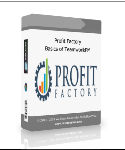 Profit Factory – Basics of TeamworkPM