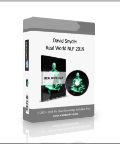 David Snyder – Real World NLP 2019