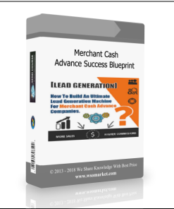 Merchant Cash Advance Success Blueprint