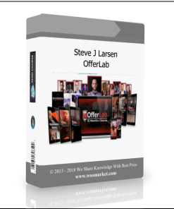 Steve J Larsen – OfferLab