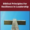 Biblical Principles For Resilience In Leadership – Theory And Cases