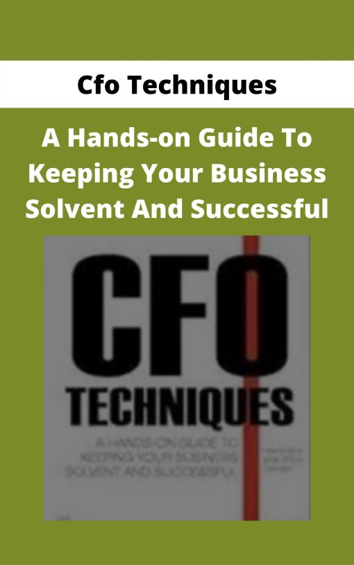 Cfo Techniques – A Hands-on Guide To Keeping Your Business Solvent And Successful