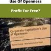 Corporate Capitalism?s Use Of Openness – Profit For Free?