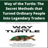 Curtis Faith – Way of the Turtle: The Secret Methods that Turned Ordinary People into Legendary Traders