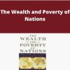 David S. Landes – The Wealth and Poverty of Nations