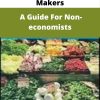 Economics For Policy Makers – A Guide For Non-economists