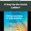 Entrepreneurship in Latin America – A Step Up the Social Ladder?