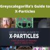 Greyscalegorilla – Greyscalegorilla?s Guide to X-Particles