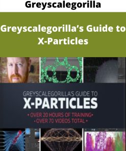 Greyscalegorilla – Greyscalegorilla?s Guide to X-Particles