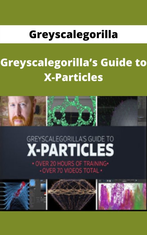 Greyscalegorilla – Greyscalegorilla?s Guide to X-Particles