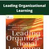 Howard Morgan – Leading Organizational Learning