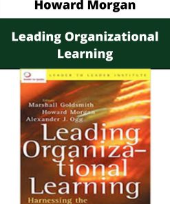 Howard Morgan – Leading Organizational Learning