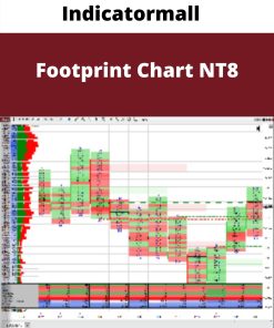 Indicatormall – Footprint Chart NT8