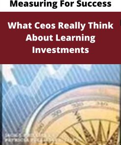 Measuring For Success – What Ceos Really Think About Learning Investments