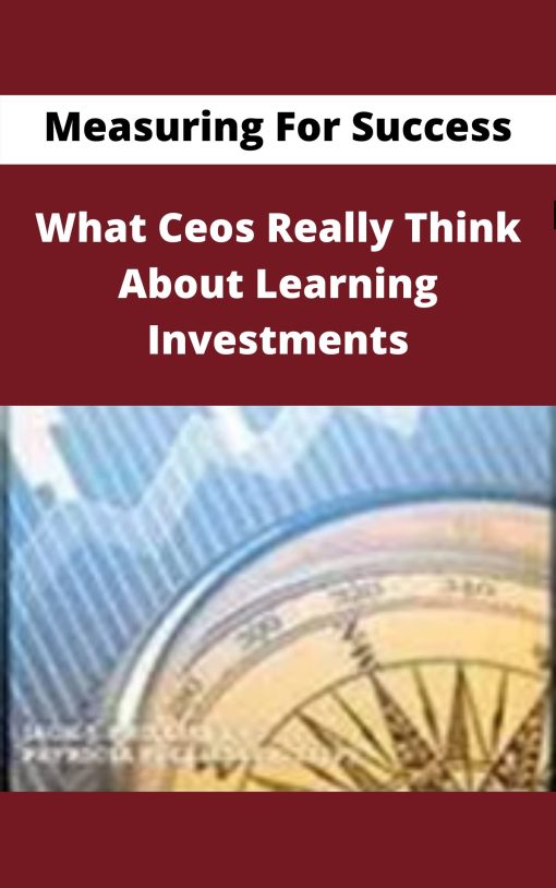 Measuring For Success – What Ceos Really Think About Learning Investments