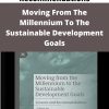 Moving From The Millennium To The Sustainable Development Goals