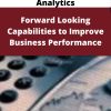 Predictive Business Analytics – Forward Looking Capabilities to Improve Business Performance