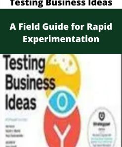 Testing Business Ideas – A Field Guide for Rapid Experimentation