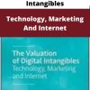 The Valuation Of Digital Intangibles – Technology, Marketing And Internet