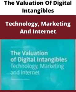 The Valuation Of Digital Intangibles – Technology, Marketing And Internet