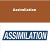 Kotton Grammer – Assimilation