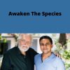 Neale Donald Walsch – Awaken The Species