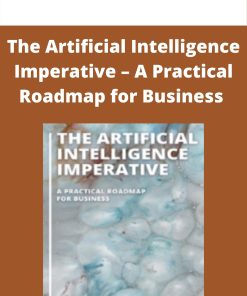 The Artificial Intelligence Imperative – A Practical Roadmap for Business