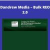 Thecommercialinvestor – Dandrew Media – Bulk REO 2.0