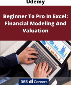 Udemy – Beginner To Pro In Excel: Financial Modeling And Valuation