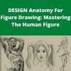 Udemy – DESIGN Anatomy For Figure Drawing: Mastering The Human Figure