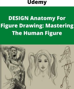 Udemy – DESIGN Anatomy For Figure Drawing: Mastering The Human Figure