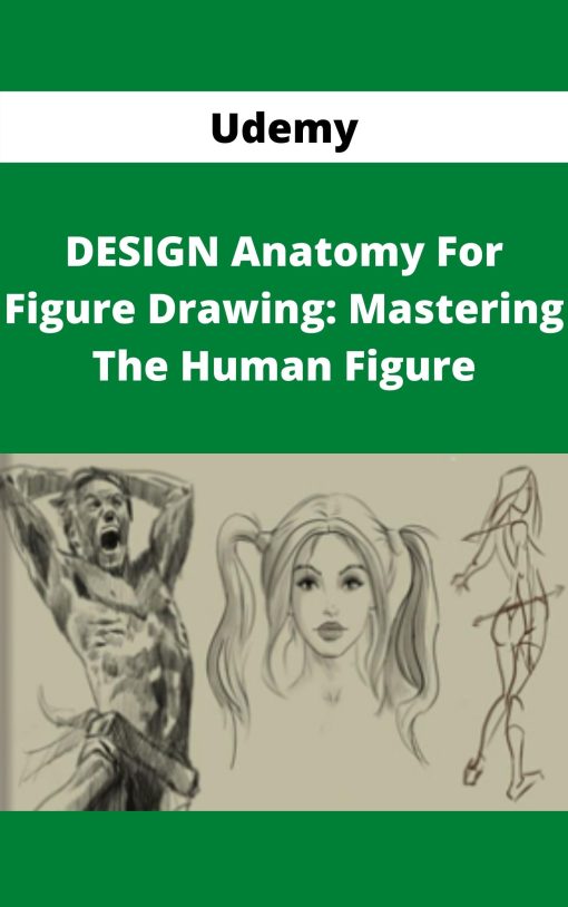 Udemy – DESIGN Anatomy For Figure Drawing: Mastering The Human Figure