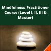 Udemy – Mindfulness Practitioner Course (Level I, II, III & Master)