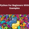 Udemy – Python For Beginners With Examples