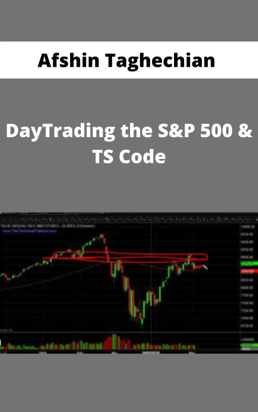 Afshin Taghechian – DayTrading the S&P 500 & TS Code