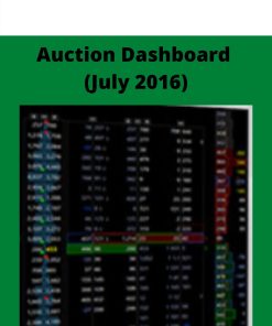 Auction Dashboard (July 2016)