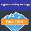 Basecamptrading – Big Fish Trading Strategy