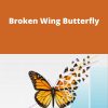 Broken Wing Butterfly