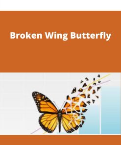 Broken Wing Butterfly