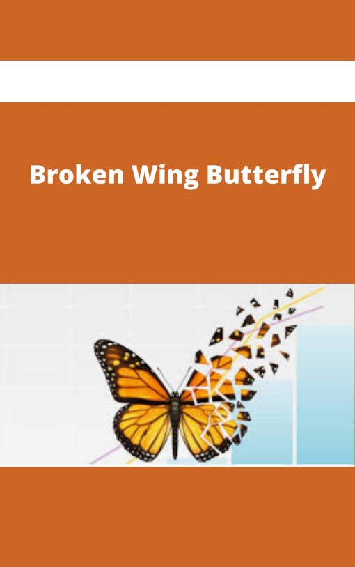 Broken Wing Butterfly