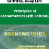 Carter Hill, William Griffiths, Guay Lim – Principles of Econometrics (4th Edition)