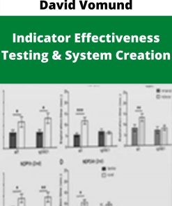 David Vomund – Indicator Effectiveness Testing & System Creation