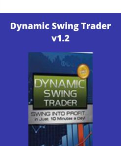 Dynamic Swing Trader v1.2