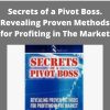 Franklin Ochoa – Secrets of a Pivot Boss. Revealing Proven Methods for Profiting in The Market –