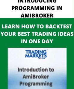 INTRODUCING PROGRAMMING IN AMIBROKER – LEARN HOW TO BACKTEST YOUR BEST TRADING IDEAS IN ONE DAY