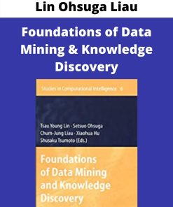 Lin Ohsuga Liau – Foundations of Data Mining & Knowledge Discovery